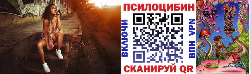 OMG маркетплейс Железногорск-Илимский Псилоцибиновые грибы Cubensis купить наркоту